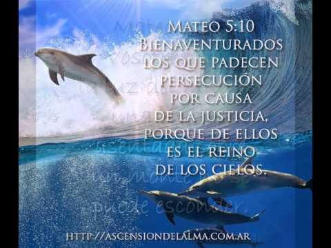 Imagenes cristianas - pasajes - textos Biblicos - Ascension del ...