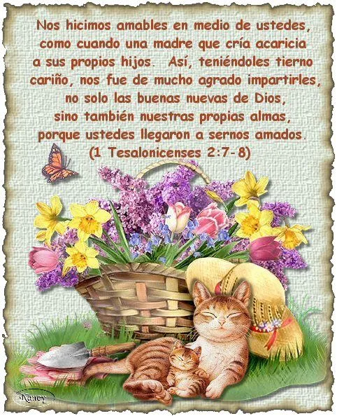 imagenes cristianas con textos 5.jpg - Imagenes Cristianas ...