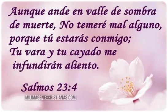 imagenes-cristianas-tu-estaras ...