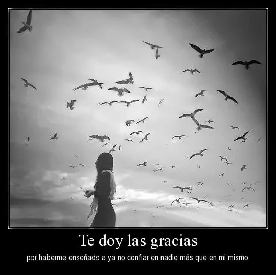 imagenes de decepcion de amor con frases para fondos de pantalla ... imagenes de decepcion de amor con frases para fondos de pantalla ...