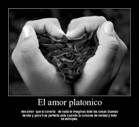Imagenes De Dedicatorias De Amor MEMES Pictures Imagenes De Dedicatorias De Amor MEMES Pictures