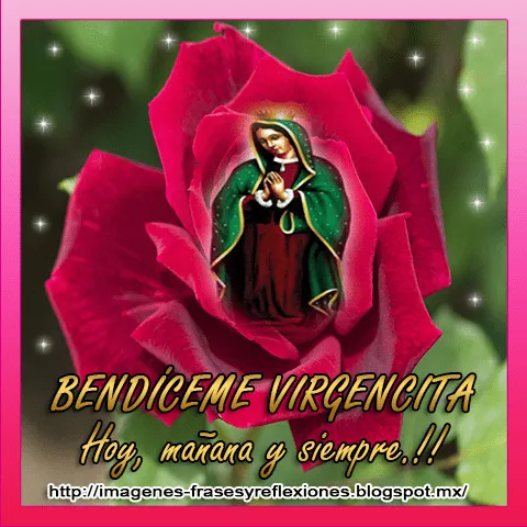 Imágenes, Frases y Reflexiones: Virgen de Guadalupe en flores Imágenes, Frases y Reflexiones: Virgen de Guadalupe en flores