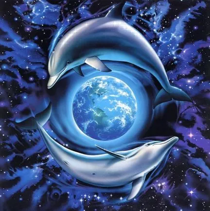 Imagenes de delfines con movimiento y brillo - Imagui