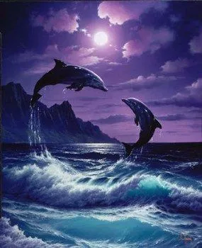 Imagenes de delfines enamorados - Imagui