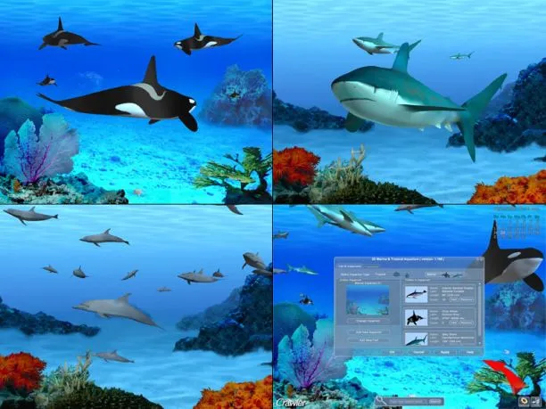 Delfines 3D con movimiento - Imagui
