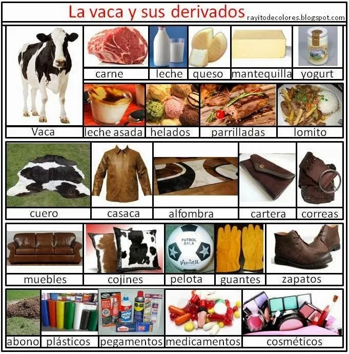 Imagenes de derivados de la vaca - Imagui