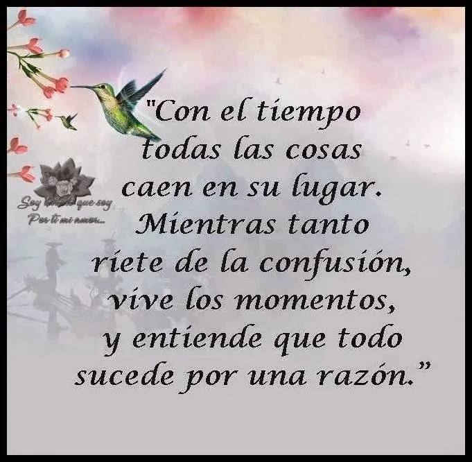 ver Imagenes de Desamor para descargar | Bonitas imagenes y frases ...