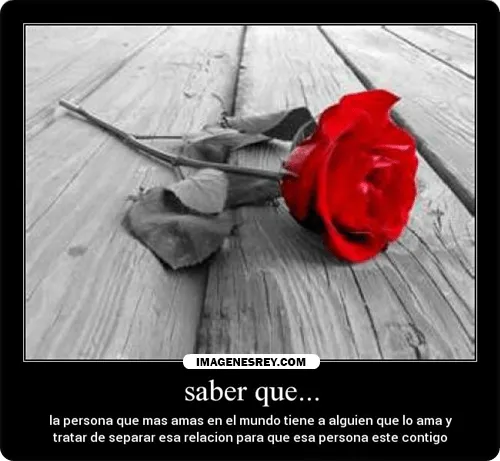 Imagenes d desamor con frases - Imagui