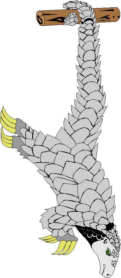 Imágenes para descargar de loros tecolotes byho clipart para ... Imágenes para descargar de loros tecolotes byho clipart para ...