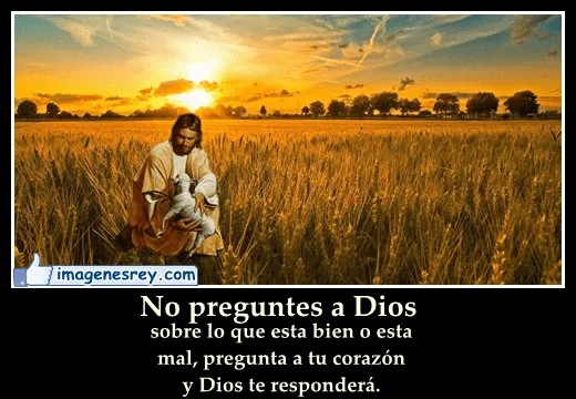 Frases bonitas de dios - Imagui