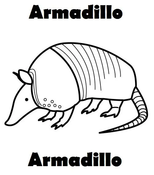 Dibujos de armadillos - Imagui