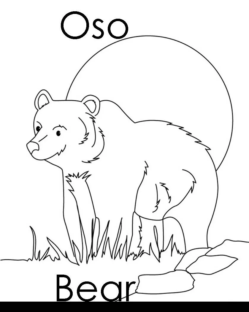 Imagenes para dibujar en Ingles y español: Animales del Bosque ... Imagenes para dibujar en Ingles y español: Animales del Bosque ...