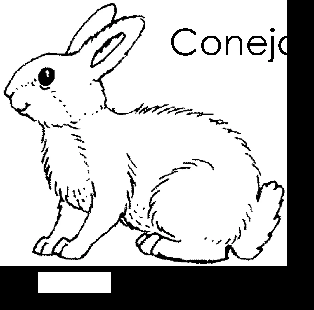 Imagenes para dibujar en Ingles y español: Animales del Bosque ...