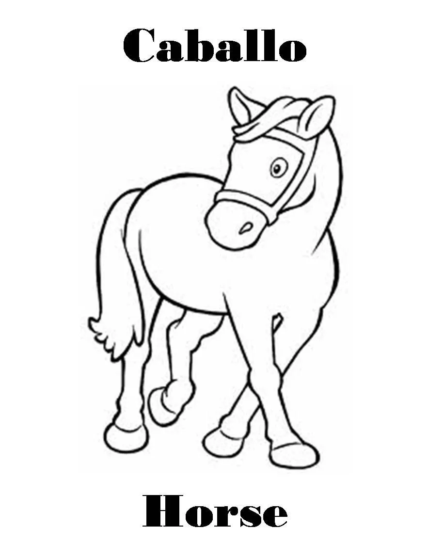 Imagenes para dibujar en Ingles y español: Animales de Granja para ... Imagenes para dibujar en Ingles y español: Animales de Granja para ...