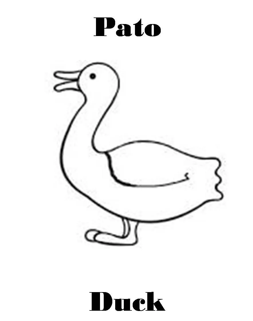 Imagenes para dibujar en Ingles y español: Animales de Granja para ... Imagenes para dibujar en Ingles y español: Animales de Granja para ...