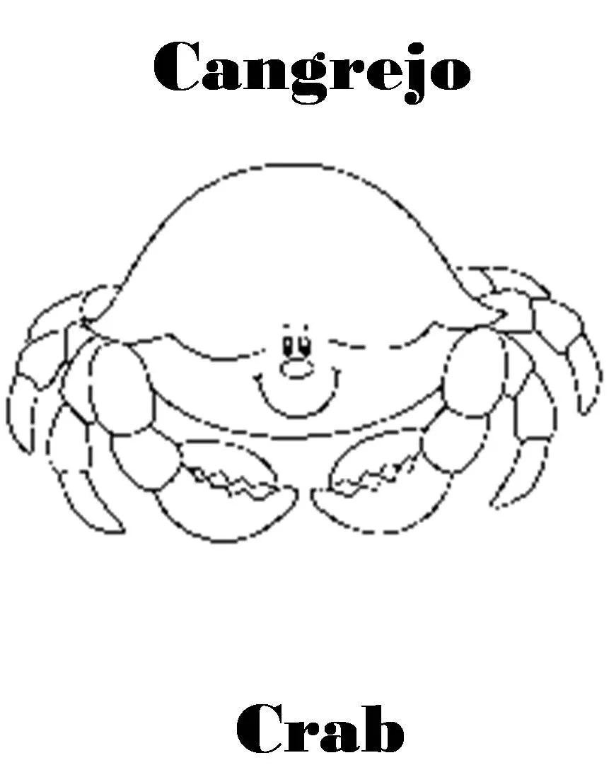 Imagenes para dibujar en Ingles y español: Animales Marinos para ... Imagenes para dibujar en Ingles y español: Animales Marinos para ...