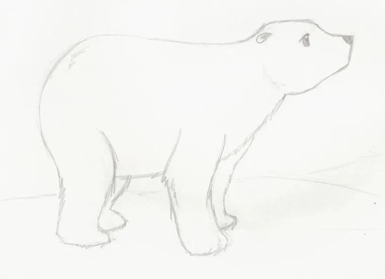 camila ilustraciones: Oso Polar
