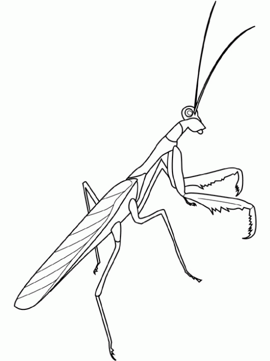 Imagenes para dibujar religiosas - Imagui