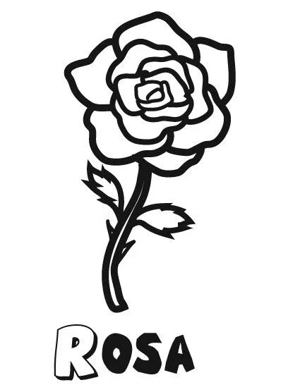 14481-4-dibujos-rosa-1.jpg