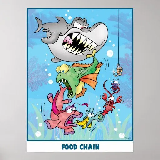 Dibujos de cadena alimenticia acuatico - Imagui Dibujos de cadena alimenticia acuatico - Imagui