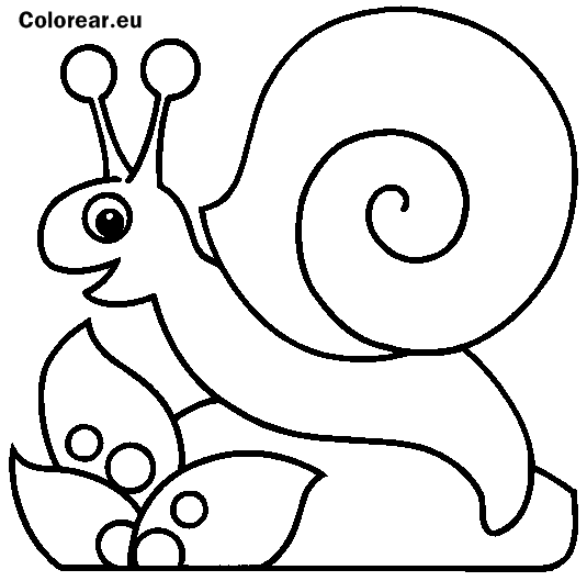Imágenes y Dibujos de caracoles para colorear | Para niños Imágenes y Dibujos de caracoles para colorear | Para niños
