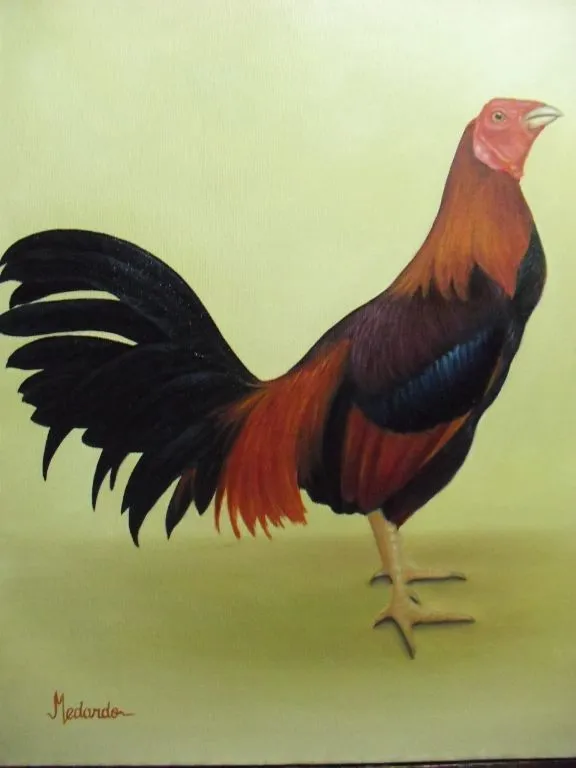 Gallo de pelea medardo aquije injante - Artelista.com Gallo de pelea medardo aquije injante - Artelista.com