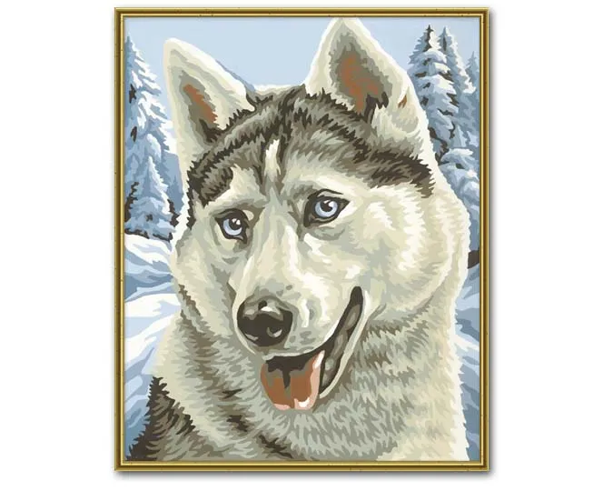 Imagenes de dibujos de husky siberiano para colorear - Imagui