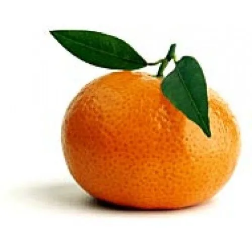 IMAGENES Y DIBUJOS: MANDARINA