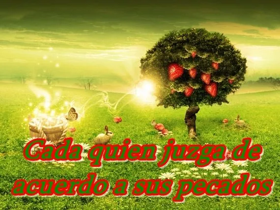 Imágenes bellas en general: Imágenes Con Dichos Imágenes bellas en general: Imágenes Con Dichos