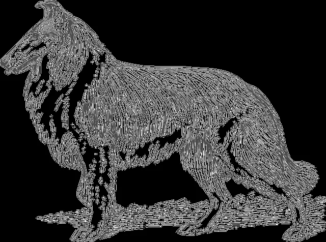 Caballos para dibujar dificiles - Imagui