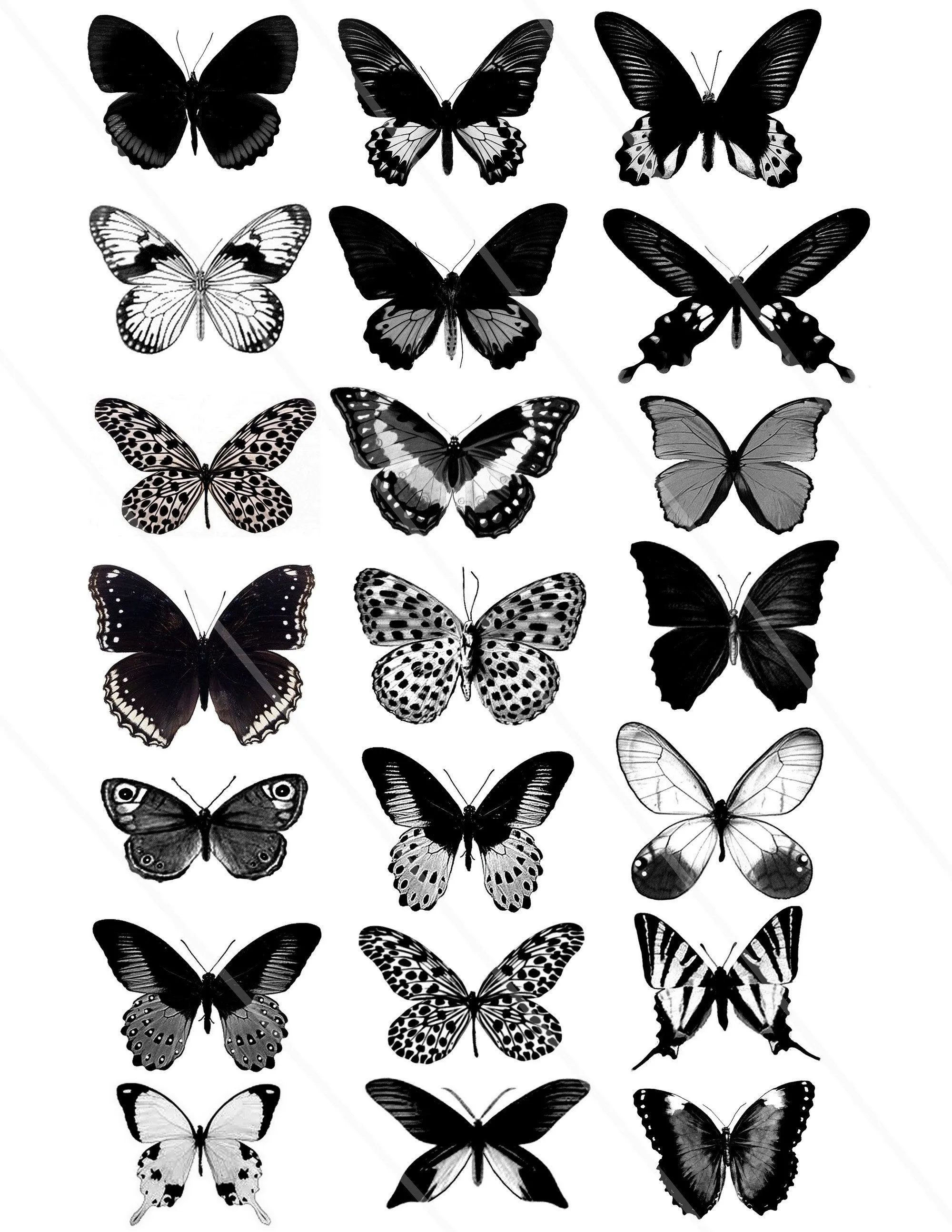 Imágenes digitales mariposas clipart mariposas negras mariposa - Etsy México Imágenes digitales mariposas clipart mariposas negras mariposa - Etsy México