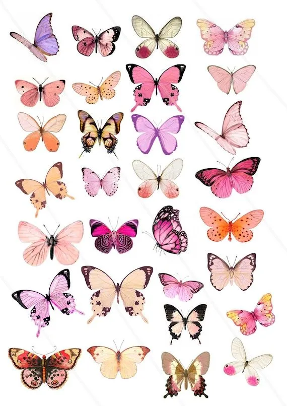 Imágenes digitales mariposas clipart mariposas rosas mariposa - Etsy México Imágenes digitales mariposas clipart mariposas rosas mariposa - Etsy México