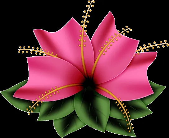Imagenes para Diseñar Marcos Para Fotos - Flores - Lazos [Pack y ... Imagenes para Diseñar Marcos Para Fotos - Flores - Lazos [Pack y ...