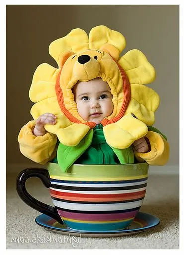 Fotos de disfraces: disfraz de bebe en flor Fotos de disfraces: disfraz de bebe en flor