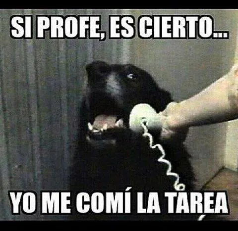 Imagenes divertidas con frases para compartir en facebook Imagenes divertidas con frases para compartir en facebook