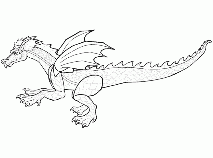Dibujo de Dragones para colorear. Dibujos infantiles de Dragones ...