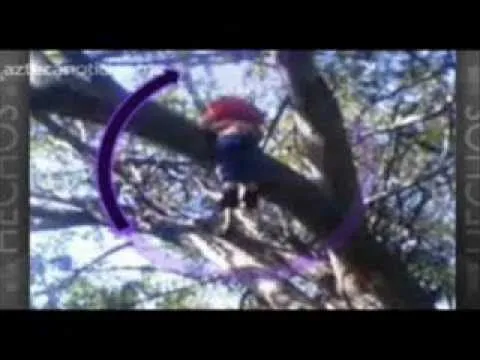imagenes de duendes reales - YouTube