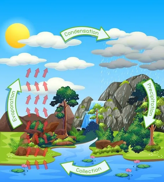 Imágenes de Ecosistema Terrestre - Descarga gratuita en Freepik