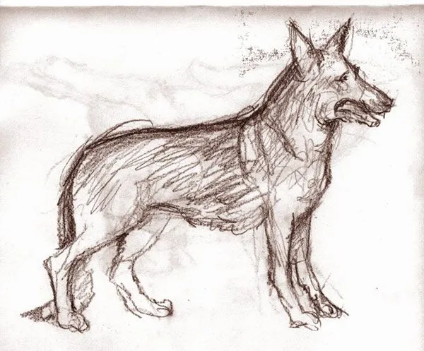 imagenes | edwin pictures