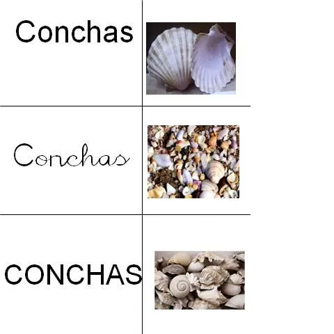 Imagenes que empiecen con la letra c - Imagui