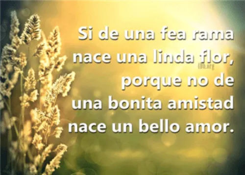 Imágenes para enamorar a tu amiga | Mi amor... Te amo ! Imágenes para enamorar a tu amiga | Mi amor... Te amo !