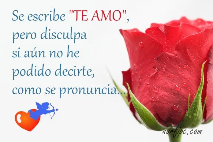 Imágenes para enamorar y confesar lo que sentimos en Facebook