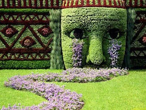 Imagenes de enredaderas de flores animadas - Imagui Imagenes de enredaderas de flores animadas - Imagui