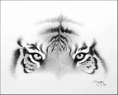Imagenes espectaculares de dibujos hechos a lapiz ~ Locuras en la Web