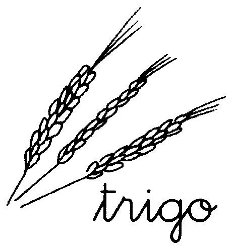 Dibujos de espigas de trigo para colorear - Imagui