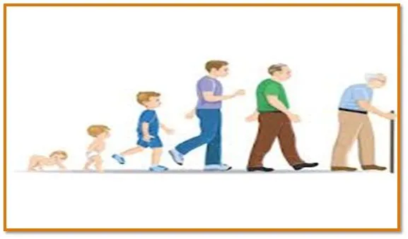 La etapa del desarrollo humano - Imagui