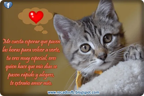 Imagenes de te extraño con frases de amor - Imagui