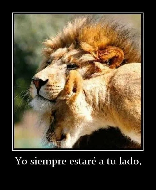 A Tu Lado Siempre | Imagenes para Facebook [FB]