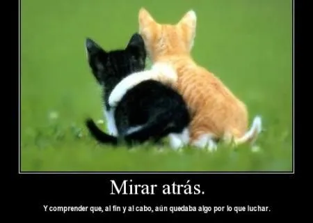 Imágenes para Facebook de amistad para compartir con frases bellas ...