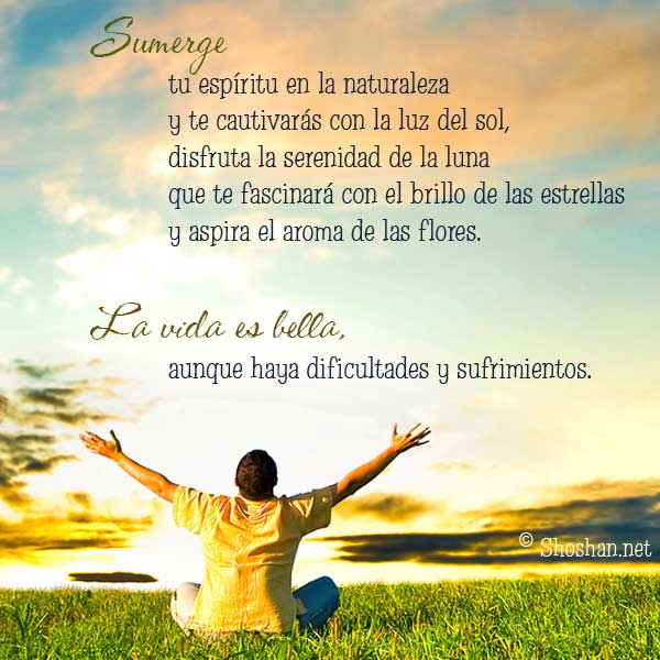 Imagenes para Facebook con bellas reflexiones para tus amigos Imagenes para Facebook con bellas reflexiones para tus amigos